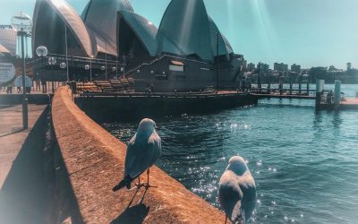 Sydney
